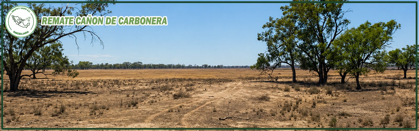 CARBONERA2