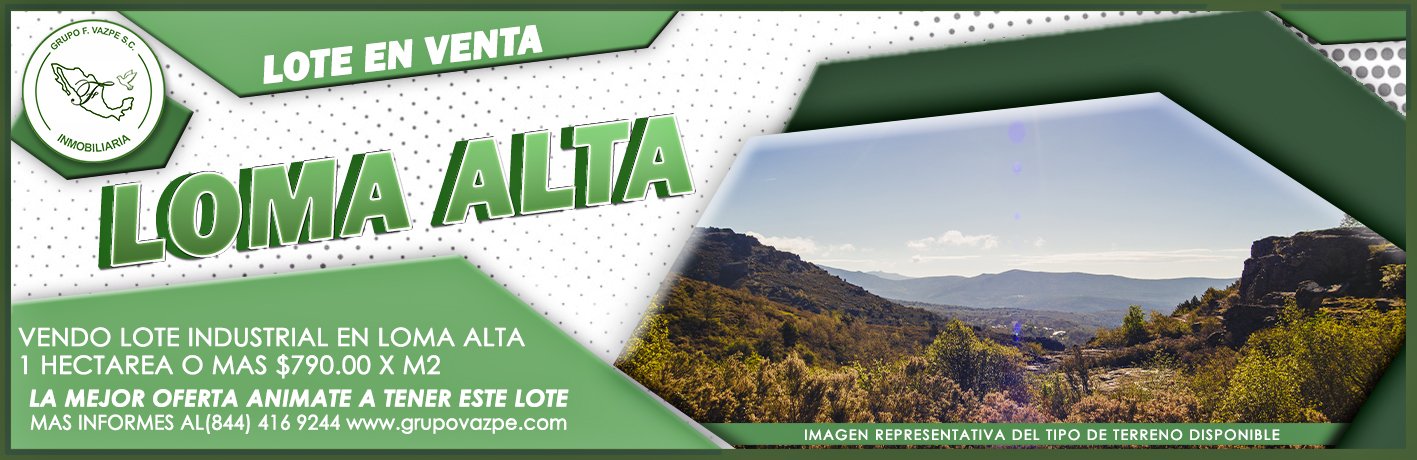 FRANJA PAGINA WEB - 13